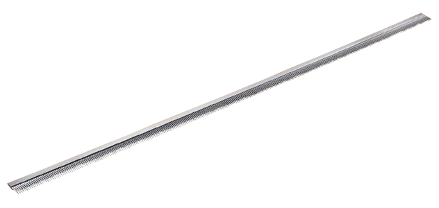SAXONIA_Kopie_4_04